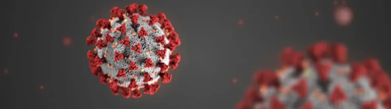 microscopic view of the coronavirus