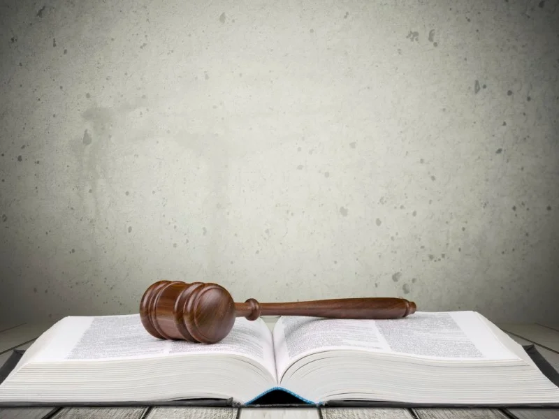 A gavel sits on the pages of an open book